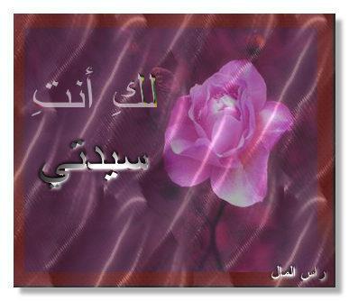 laka anta ya hobi JH